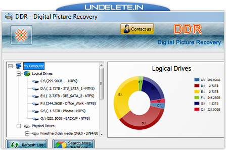 Digital Pictures Undelete Software