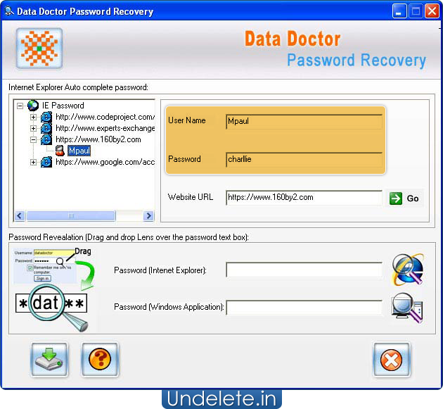 Internet Explorer Password Recovery Software